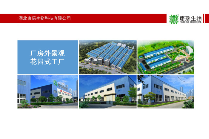 膏滋代加工_無配方一站式解決方案【湖北研發廠家】第3張 膏滋代加工_無配方一站式解決方案【湖北研發廠家】第3張